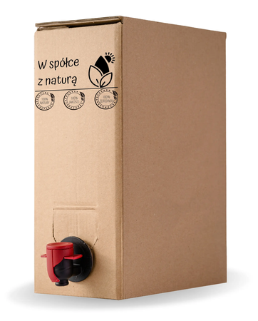 Lemoniada cytrynowa 5l