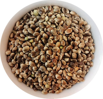 Nasiona konopi siewnej 1kg