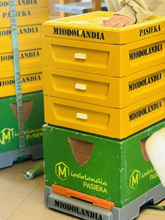 Miód gryczany 380g naturalny polski