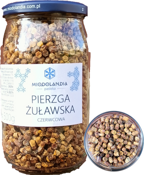 Pierzga pszczela 500g naturalna polska