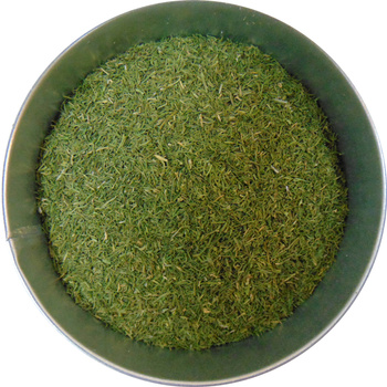 Koperek zielony suszony 100g przyprawa