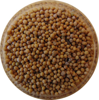 Gorczyca biała cała 200g