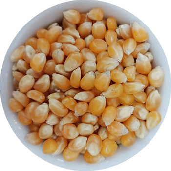 Popcorn (ziarno kukurydzy) 1kg
