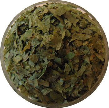 Czosnek niedźwiedzi 50g