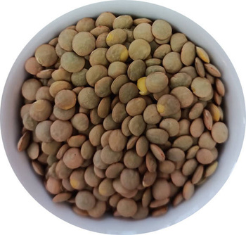 Soczewica zielona 500g