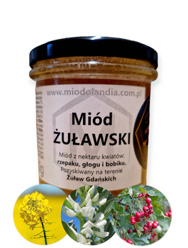 Miód Żuławski 380g naturalny polski