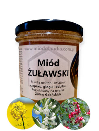 Miód Żuławski 380g naturalny polski