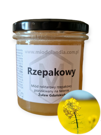 Miód rzepakowy 380g naturalny polski